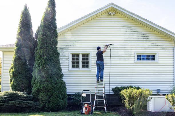 Best Restaurant Pressure Washing  in Wahese, NC